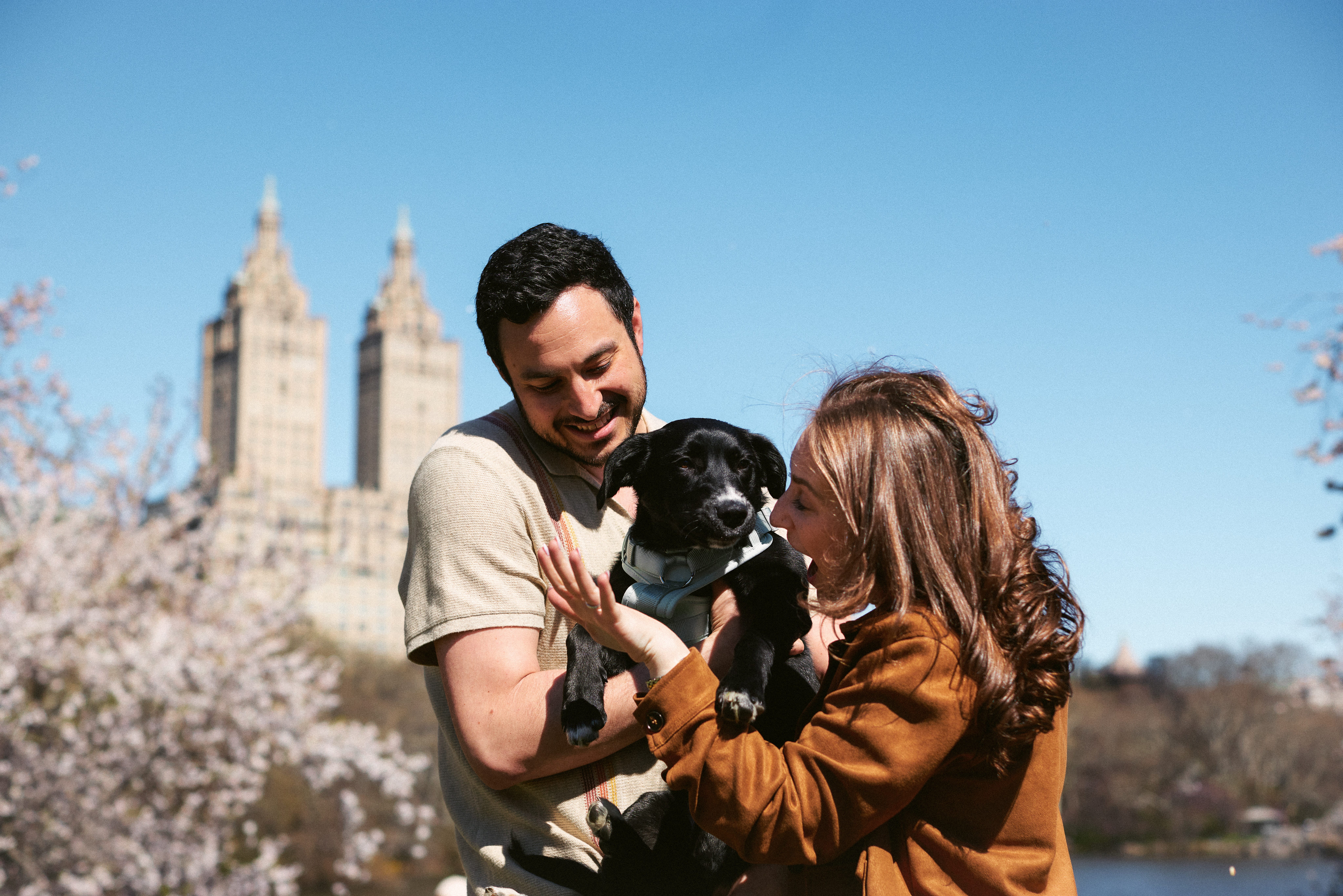 Couple engagement in Central Park, NYC
