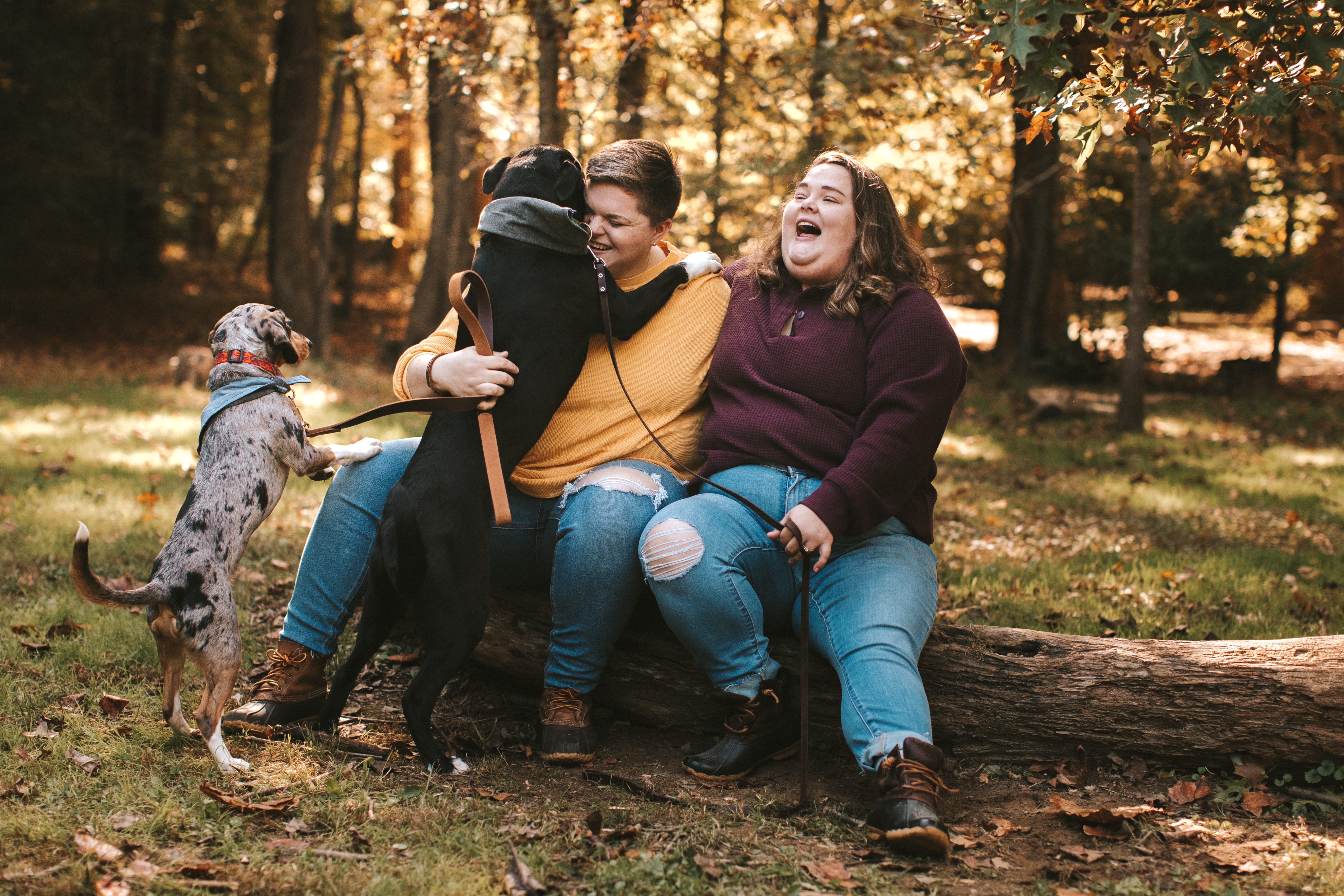 A couple getting engaged in the Fall
