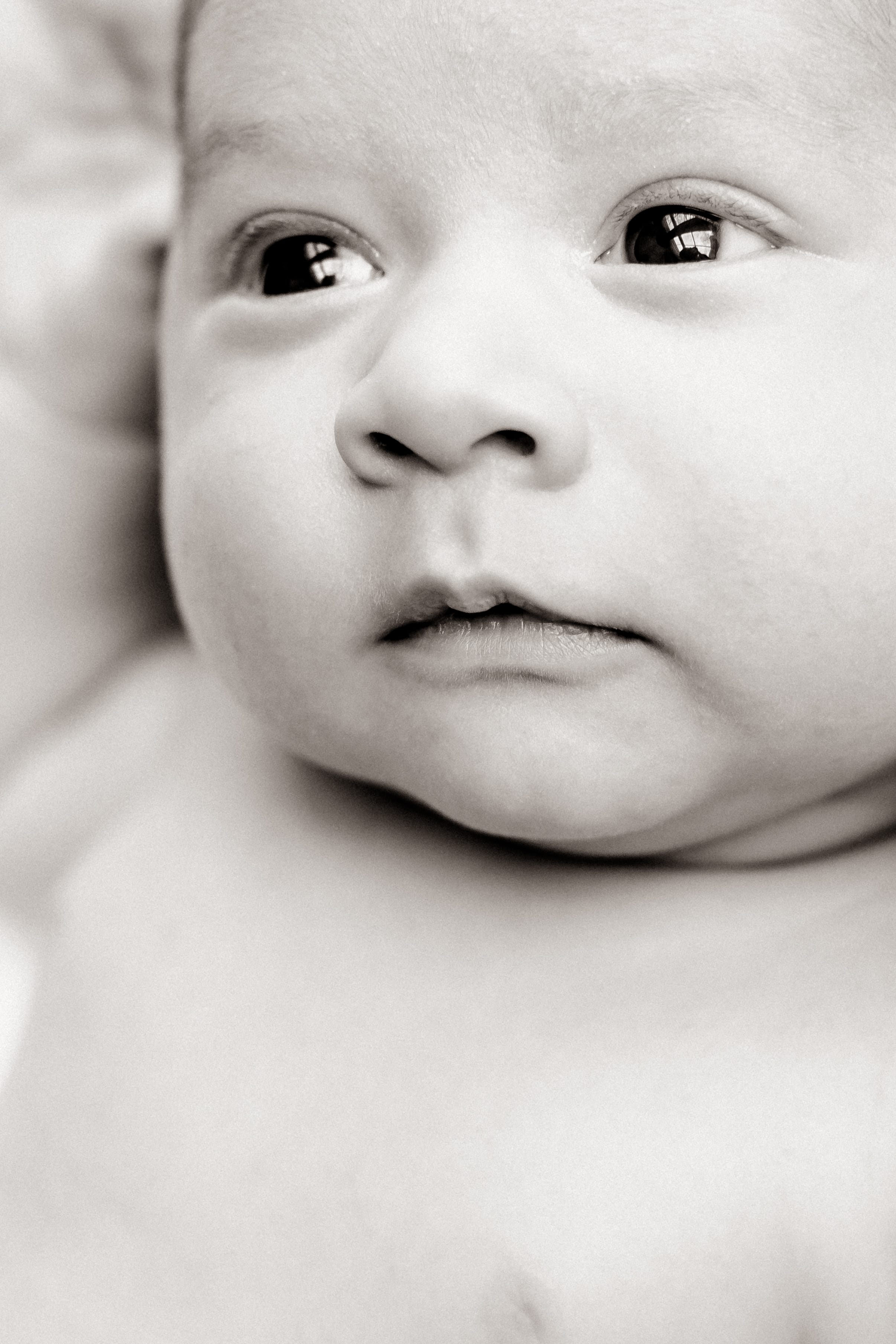 Black and white newborn portrait