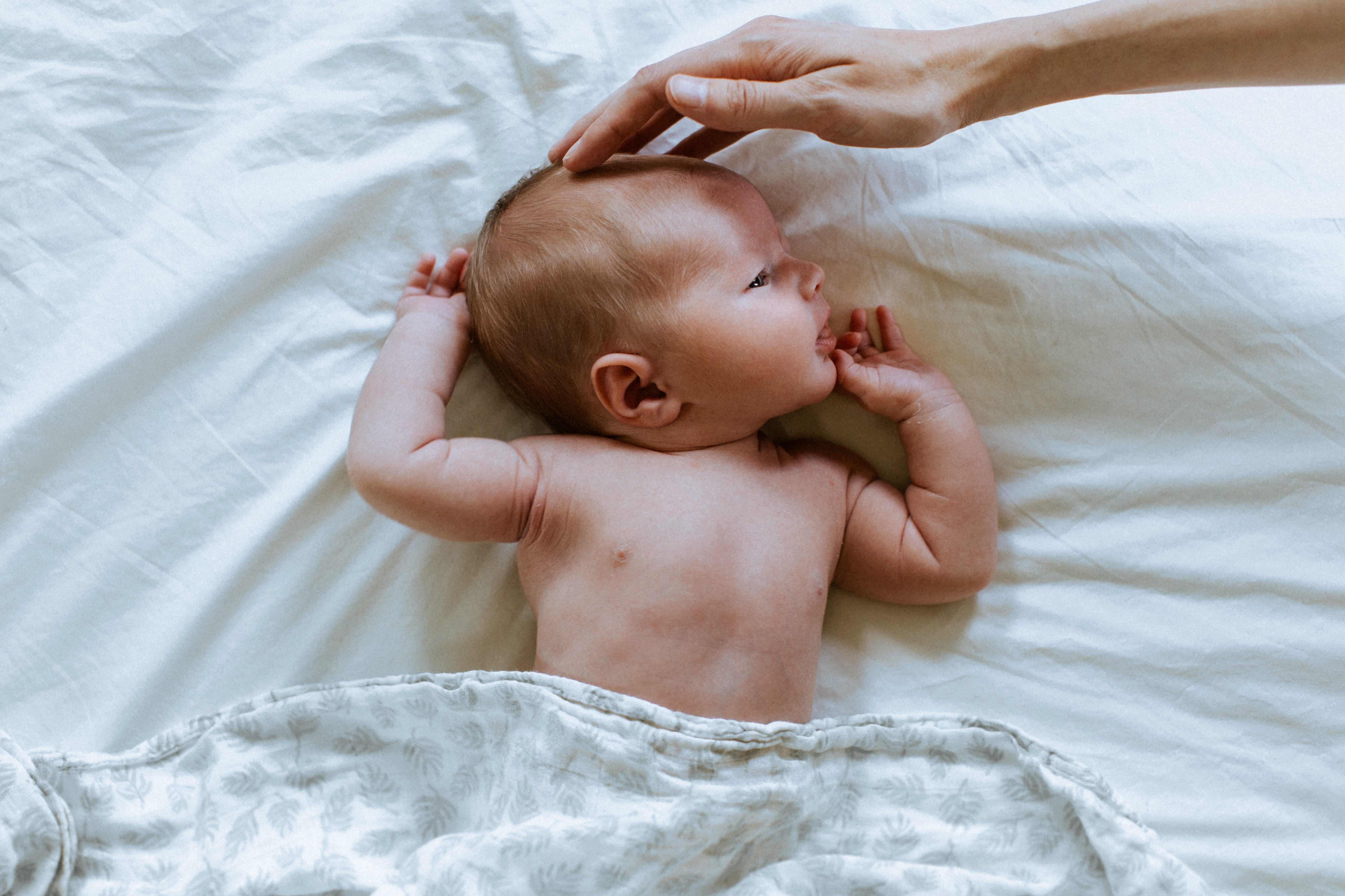 Newborn photographed with family